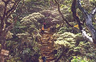 kinabalu03.jpg