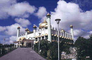 kuchingmosq_01.jpg